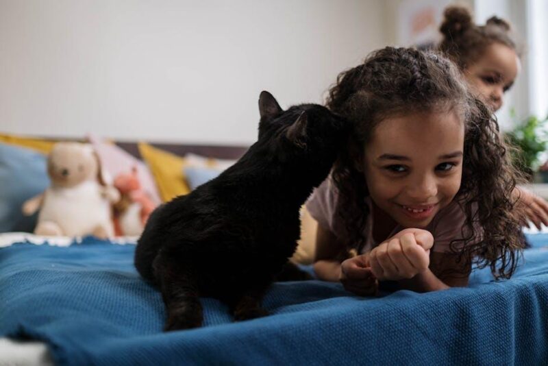 Purrfectly Easy Cat Care Tips Every Cat Owner Should Know! Purrfectly Easy Cat Care Tips Every Cat Owner Should Know!