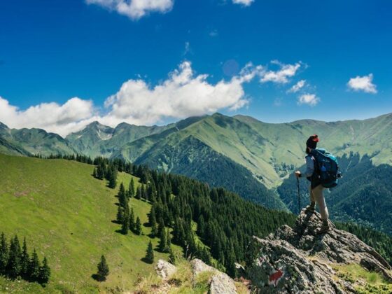 Traveling with Your Pup: Tips for Epic Adventures Together!