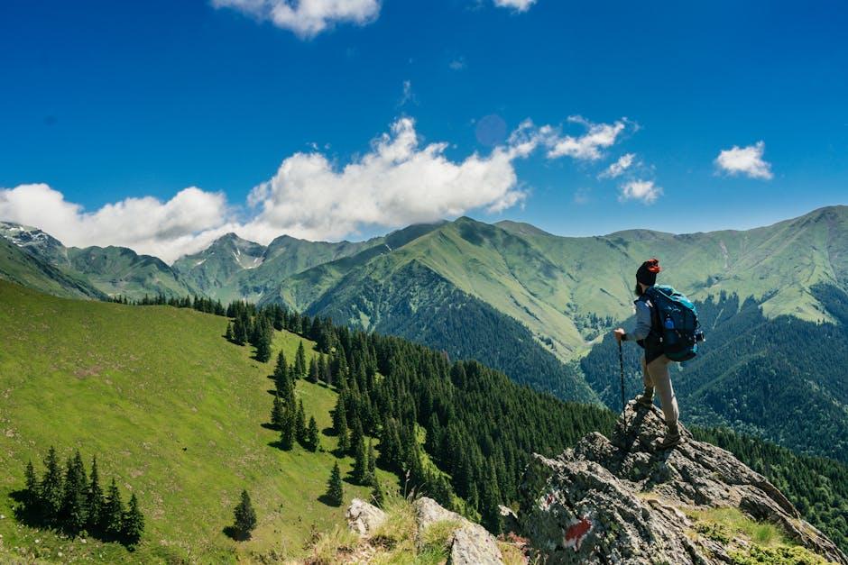 Traveling with Your Pup: Tips for Epic Adventures Together!