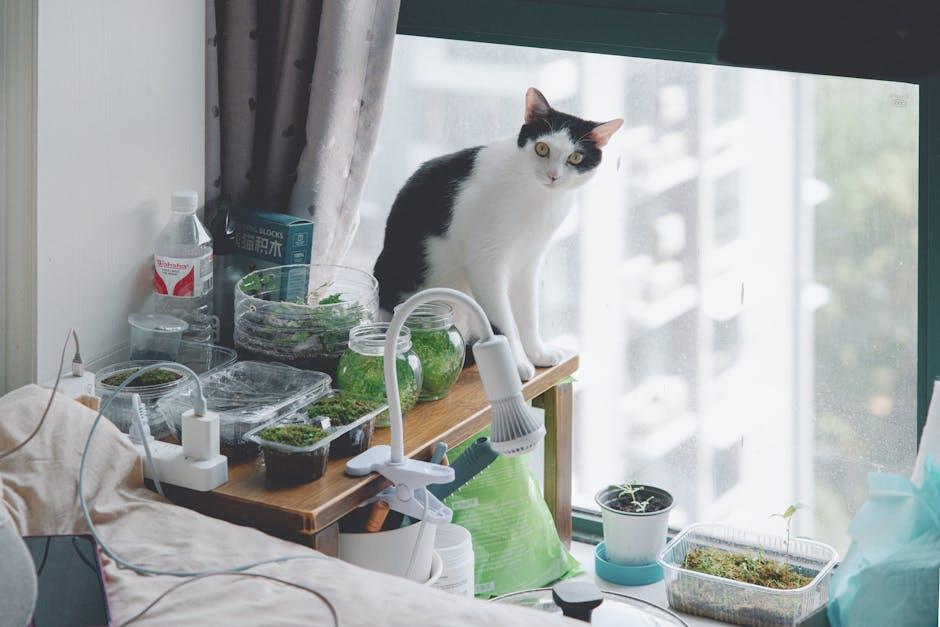 The Ultimate Cat Bed: Where Dreams Meet Luxury